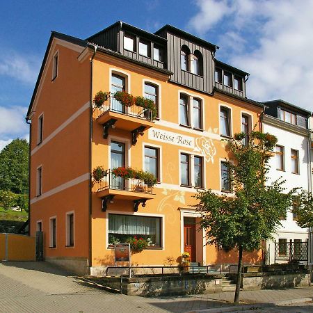 Pension Weisse Rose, Parkplatz, Fruehstueck, Wlan, Zentral Bad Elster Buitenkant foto