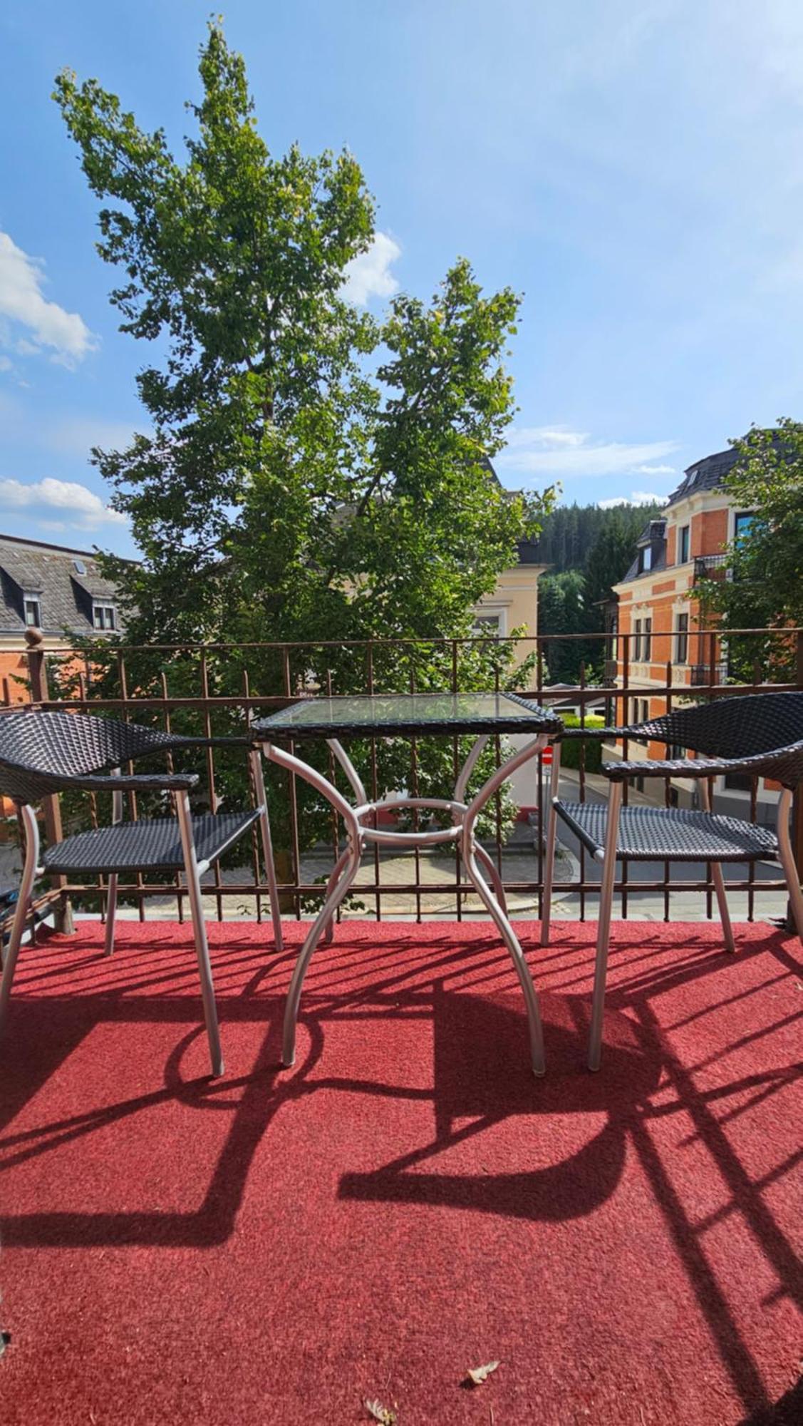 Pension Weisse Rose, Parkplatz, Fruehstueck, Wlan, Zentral Bad Elster Buitenkant foto