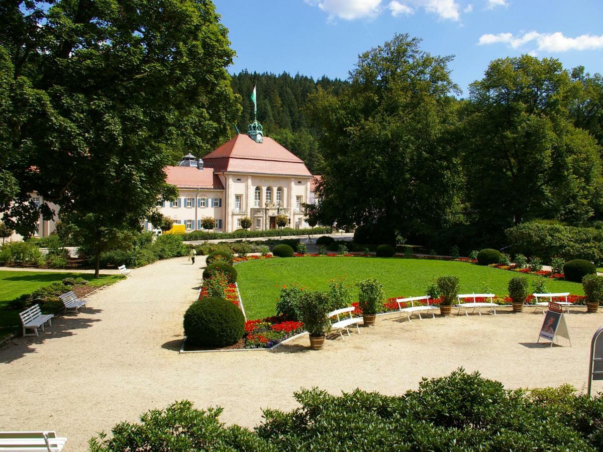 Pension Weisse Rose, Parkplatz, Fruehstueck, Wlan, Zentral Bad Elster Buitenkant foto